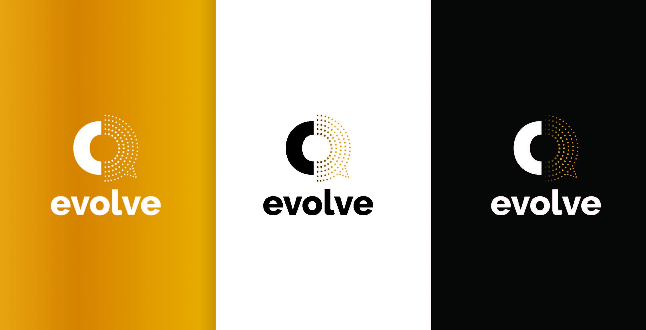Evolve-LogoConcept_7